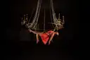 An aerial artist in a coral dress hanging from a gold chandelier hoop under a spotlight in the dark