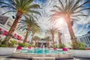 A resort pool surrounded by palm trees in bright sun in Las Vegas
