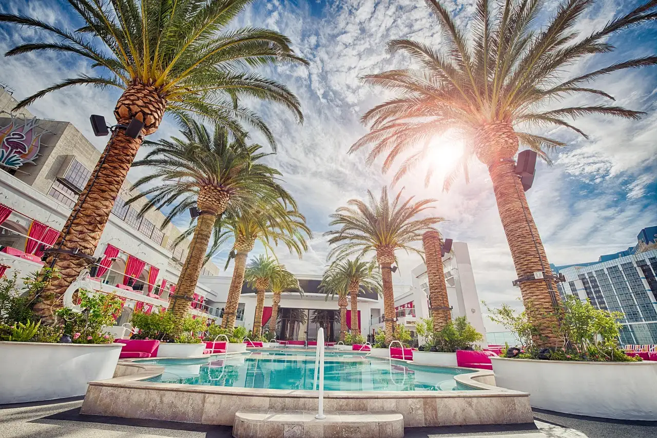 A resort pool surrounded by palm trees in bright sun in Las Vegas