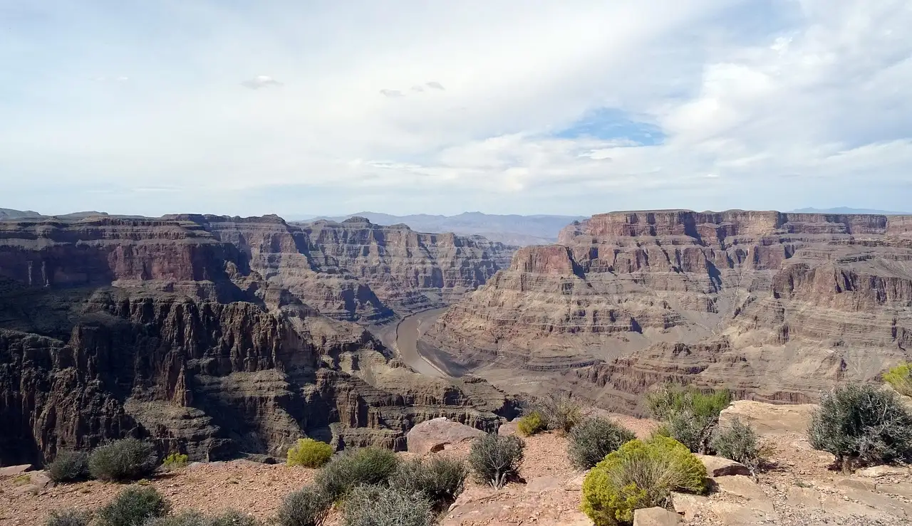 Desert shrubs on the canyon rim above the deep layered gorge of the Grand Canyon