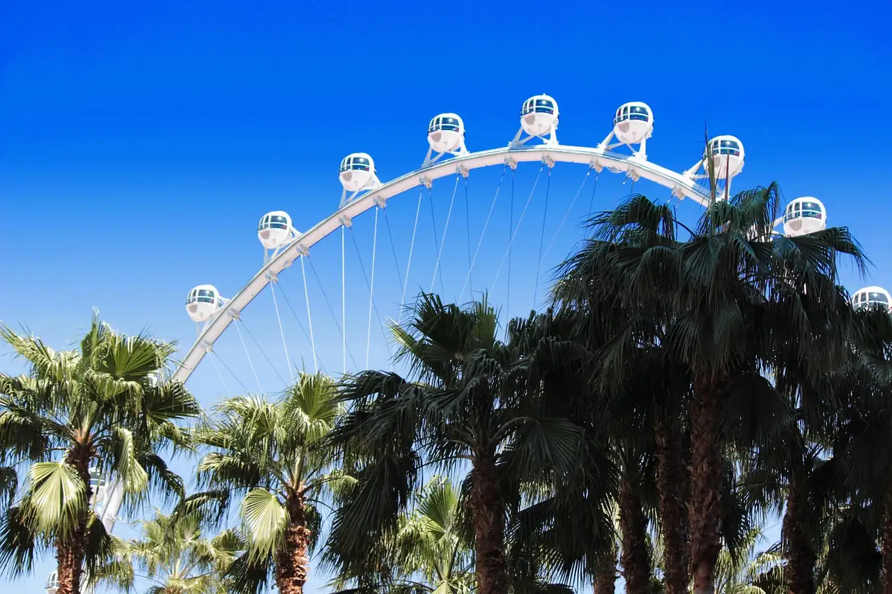 The High Roller wheel rising above palm trees