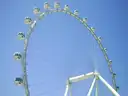 The High Roller wheel and its round cabins against a blue sky