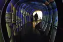Walkway through a glowing tunnel of curved panels with colorful fish and flower artwork