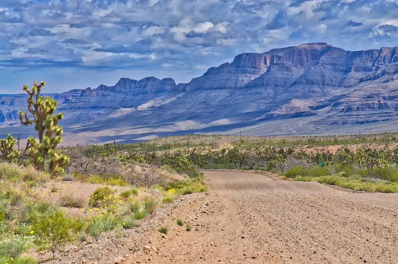 Dirt road through Joshua trees and desert scrub toward long layered cliffs