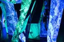 Dark exhibition room with tall panels glowing in blue and green projected artwork