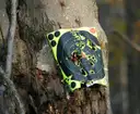 Paper target full of bullet holes pinned to a tree