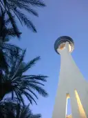 The STRAT tower rising past palm fronds