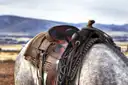 Tooled western saddle on a grey horse with dry hills beyond