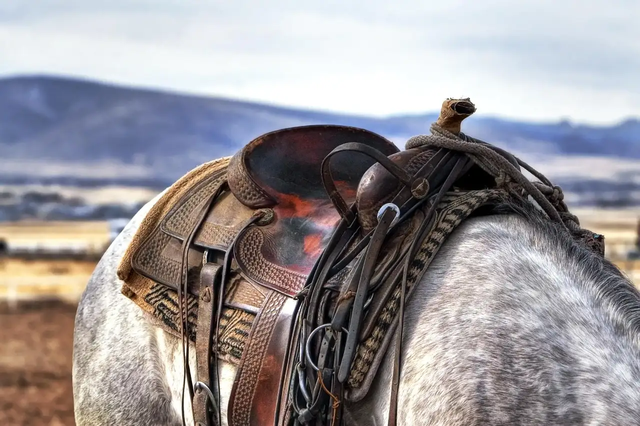 Tooled western saddle on a grey horse with dry hills beyond