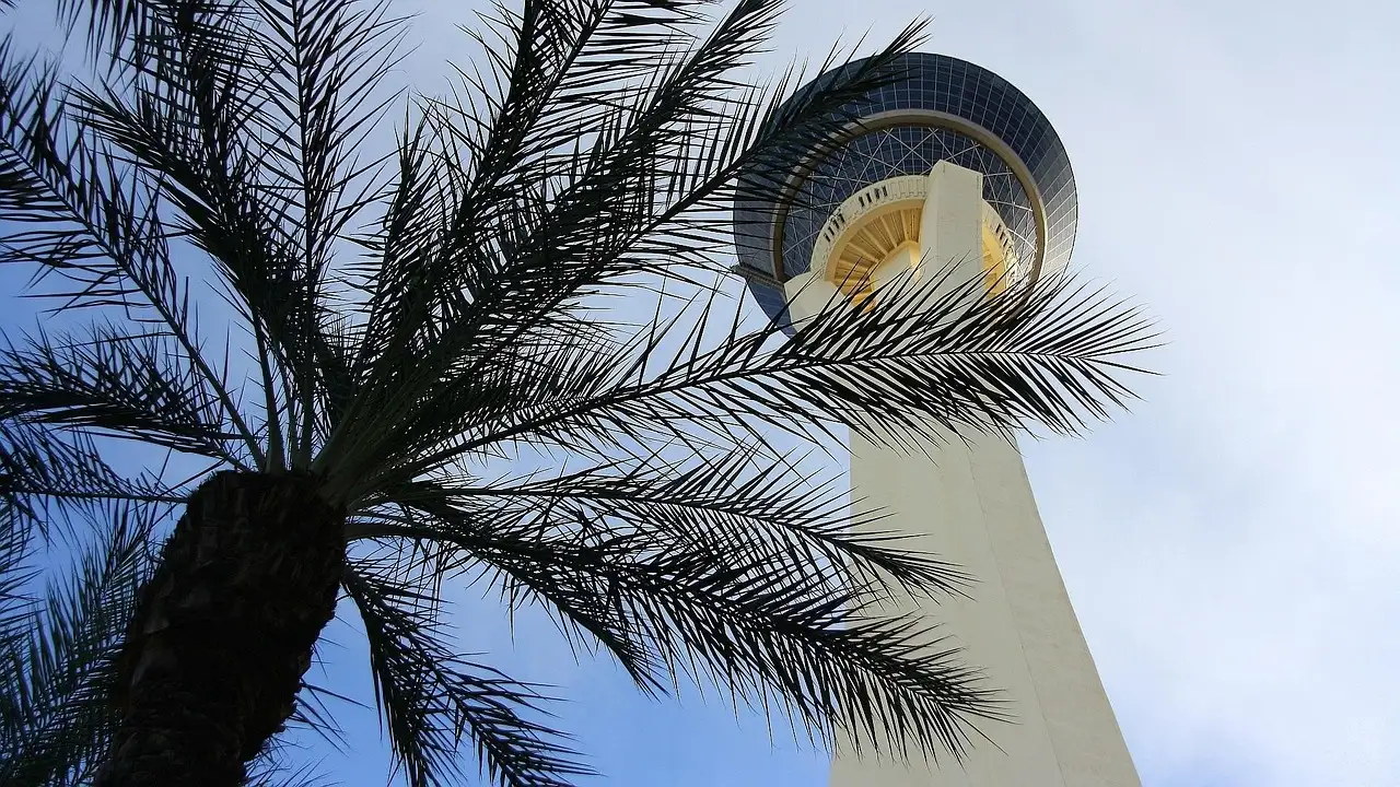 The STRAT tower's observation pod seen from below by day, behind the fronds of a palm tree