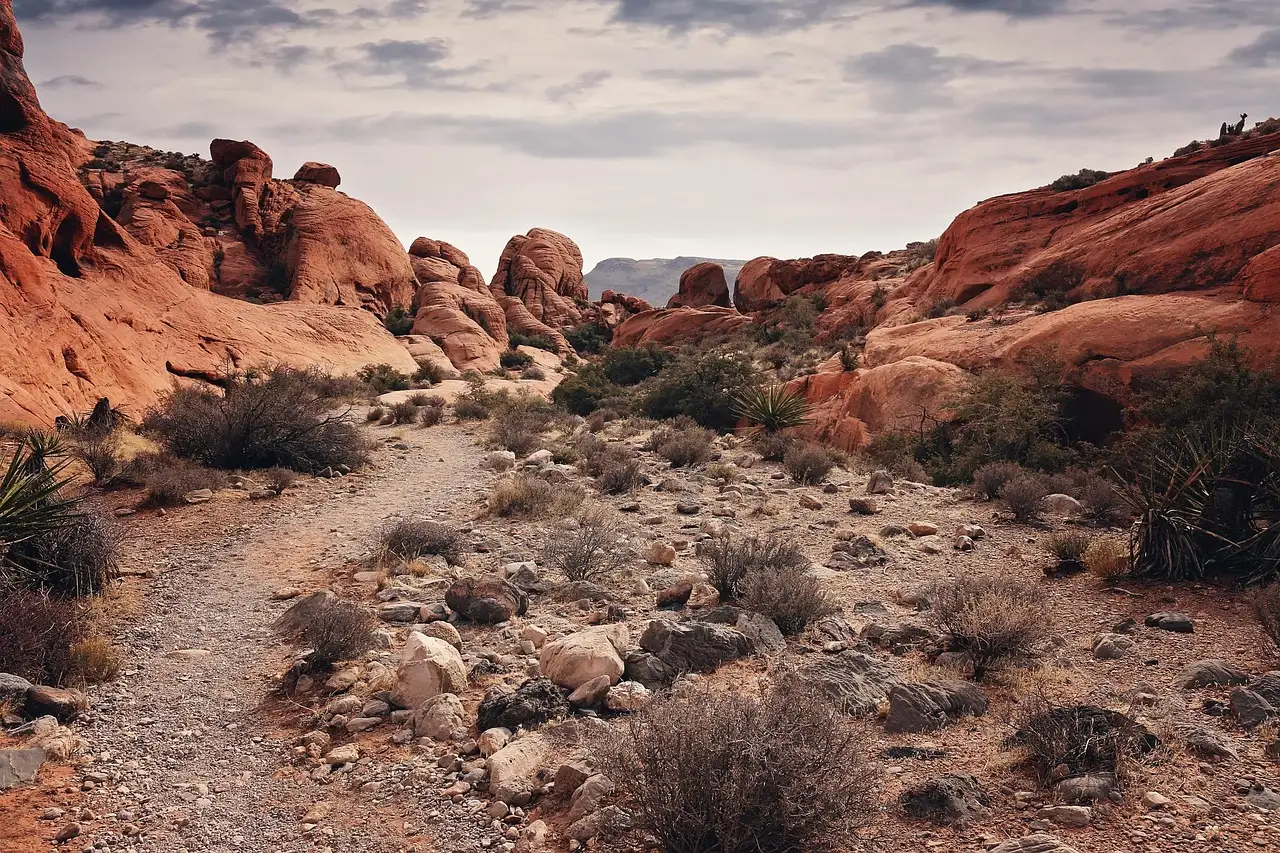 A dirt trail between red sandstone rocks and desert shrubs in Red Rock Canyon, Nevada