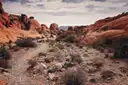 A dirt trail between red sandstone rocks and desert shrubs in Red Rock Canyon, Nevada