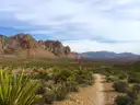 A dirt trail through yucca and desert scrub toward rocky mountains