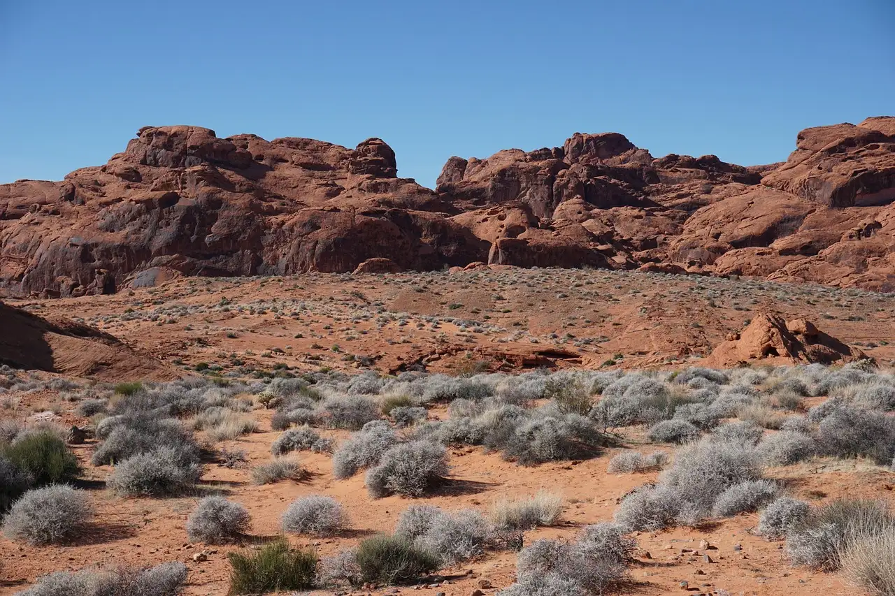 Red rock ridges behind a desert plain dotted with gray-green shrubs