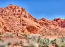 A red sandstone cliff in Valley of Fire with agave plants and desert shrubs in front