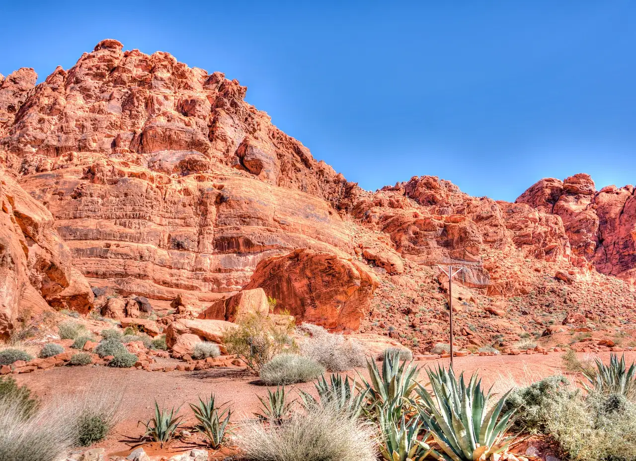 A red sandstone cliff in Valley of Fire with agave plants and desert shrubs in front