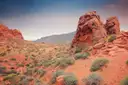 A red sandstone outcrop and desert brush in warm evening light