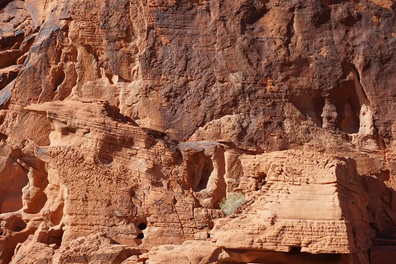A close view of a weathered orange sandstone wall with ledges and hollows