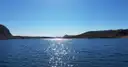 The Colorado River at Willow Beach glittering in the sun between low canyon hills
